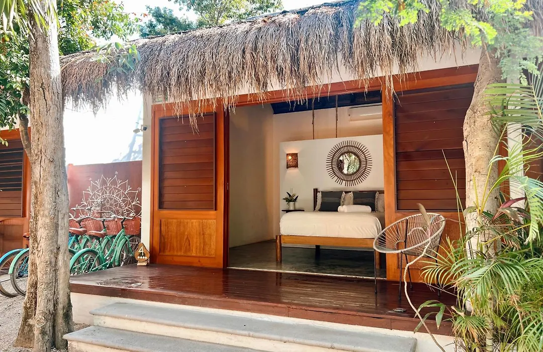 Mimosa Tulum-1